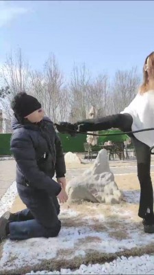 【辰辰】冰天雪地户外遛狗骑马 bf23262