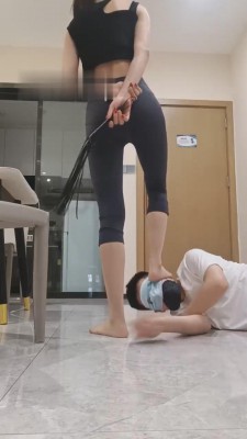 【梵高】运动服帆布鞋库里丝【双视角版】 bf15226