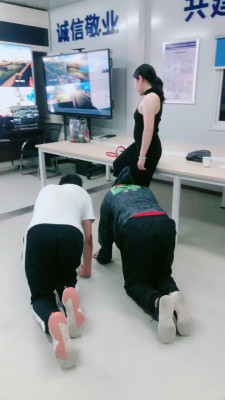 【舞媚】君临天下双狗争霸 bf19523