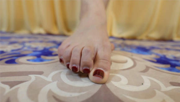 〖H.P.L栖心之栈〗—尔岚踩小人POV