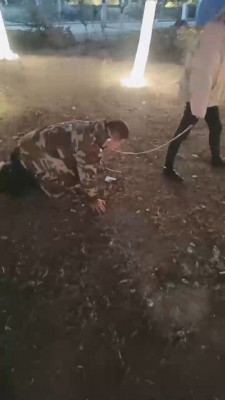 【重度刑奴】素人姐姐户外遛狗 bf22195