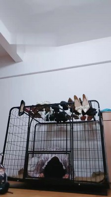 【小猫咪】关在狗笼里的废物狗【双视角】JS22090301