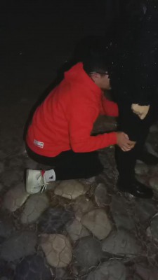 【平凡】户外遛狗当众羞辱 bf11970