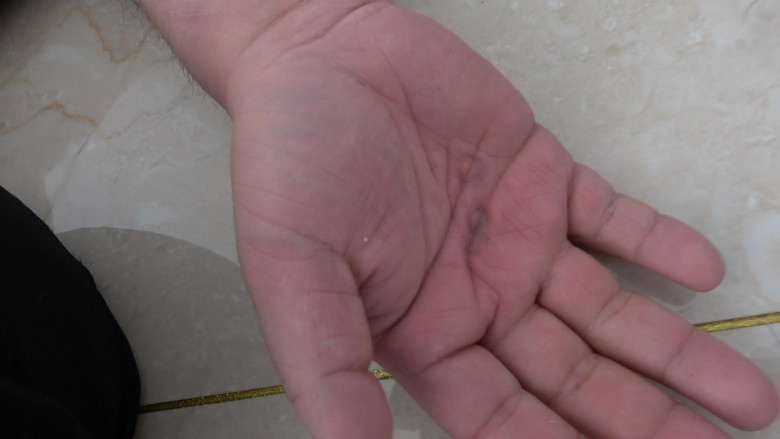 家奴暴虐记（下集）