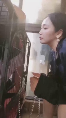 【傲雪】狗笼圈养羞辱 bf17389