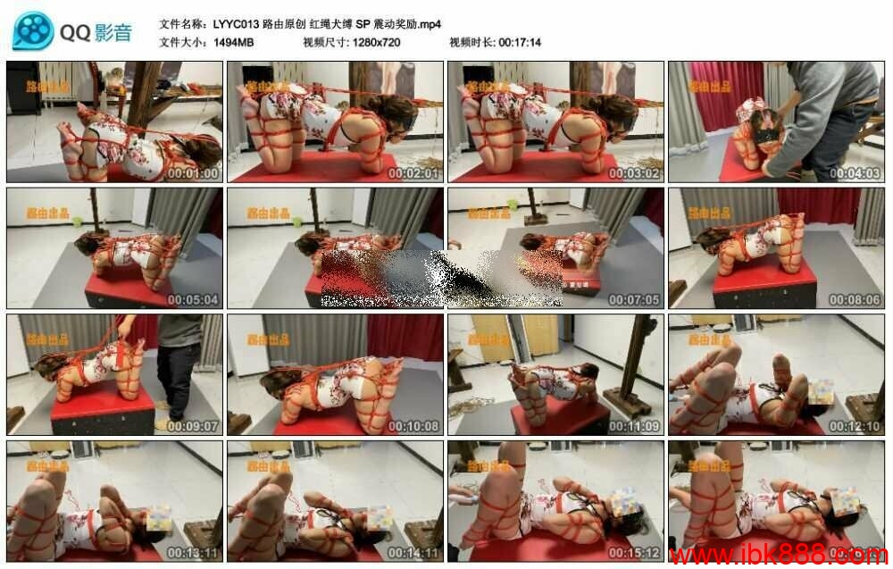 路由原创 红绳犬缚 SP 震动奖励_HD绳艺资源