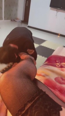 【月小主】看带锁的贱狗发骚 bf10213