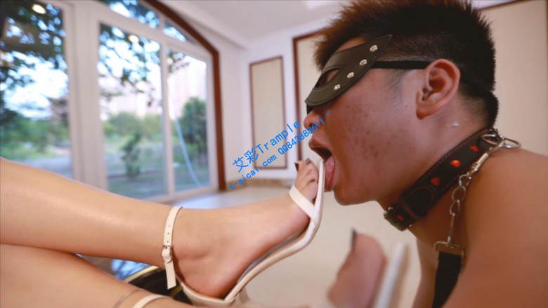 〖H.P.L栖心之栈〗—〔尔岚〕抗击疫情，在家玩狗