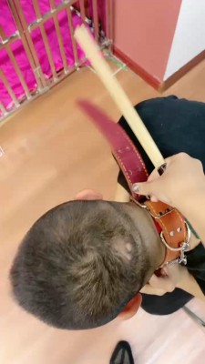 【小祖宗】高难度挑战挑战不听话狗奴 bf20126_HD绳艺资源