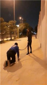 vivi-户外惊险遛狗过马路