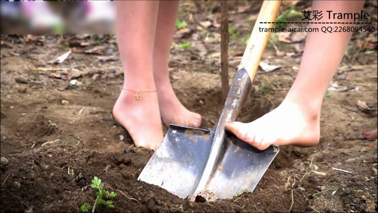 《双生花》の肉丝美足植树记