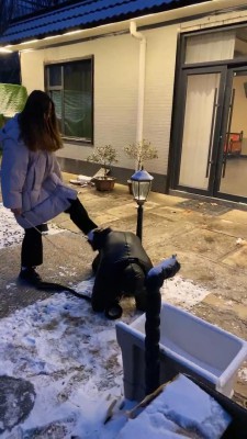 【星染】双主户外雪地暴力抽奴 bf23195