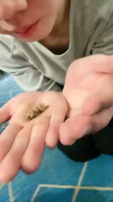 【奈奈生】绿帽贱货跪求圣水+口水 bf23223