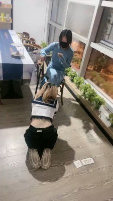 【狠毒小女孩】闺蜜非要做狗【双视角版】 bf22568