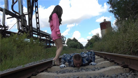 冷柔铁道操练特种狗