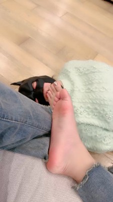 【上海赵丽颖】车模S强迫母畜吃黑棉袜/臭脚窒息 bf23265