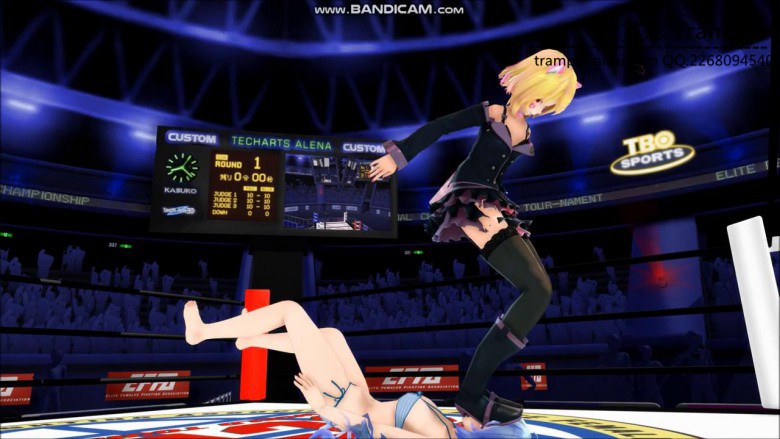 MMD动画女女格斗虐打系列，撸点极高