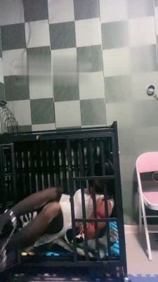 【盈盈】捆绑圈养囚禁狗 bf18734