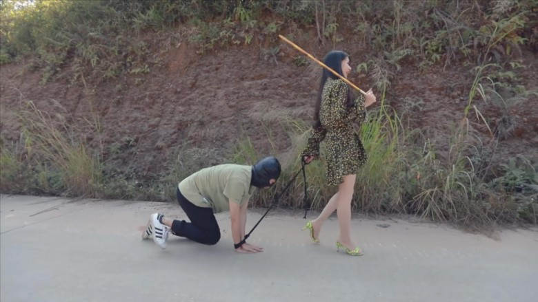 〖H.P.L栖心之栈〗—吐槽女司机的下场