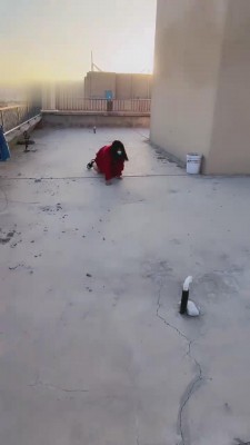 【萝莉刑】天台暴力虐母畜【完整版】 bf12021