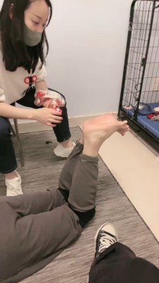 【安静大大】双奴被母女S刑虐【双视角版】  JS22102509