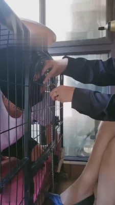 【傲雪】狗笼圈养羞辱 bf17389