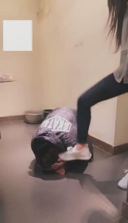 【VIVI】剧情:偷原味的猥琐邻居