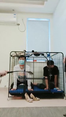 【安静大大】亲母女调两公狗【三视角超完整版】JS22102502_HD绳艺资源