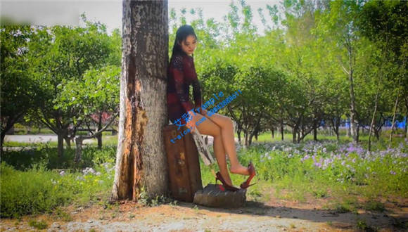 雪糕 林中倩影_HD绳艺资源