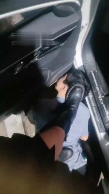 【刘二狗】狗不听话就要惩罚 bf19238