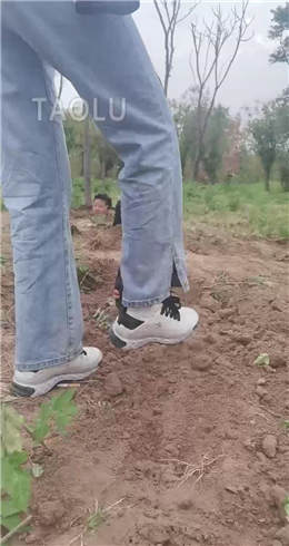 超强野外双S遛狗【上】 JS2204301