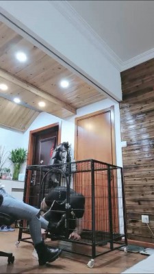 【梦晨】狗笼圈养虐待生活【双视角版】 bf22909