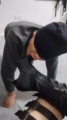 【北京宠儿】狗子听话才有奖励 bf22341