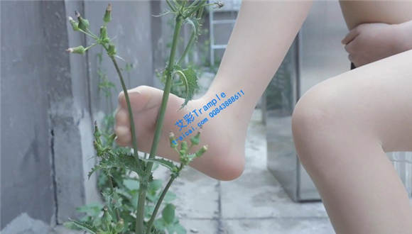 性感肉丝帆布鞋踩花