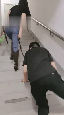 【美帝】御姐楼道遛狗 bf17774_HD绳艺资源