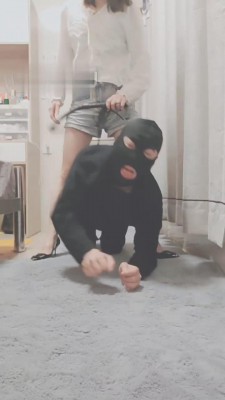 【灵竹】严厉教育狗儿子 bf11979_HD绳艺资源