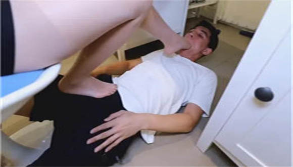 〖H.P.L栖心之栈〗—芷晴HR面试应聘者