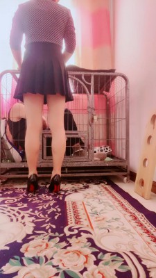 【媚朵S】袜子口球塞嘴狗笼囚禁 bf19835