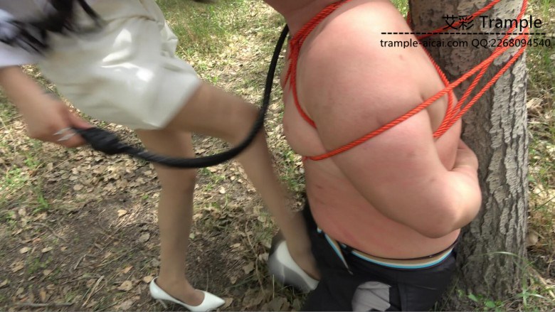 小树林鞭打家畜