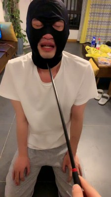 【宝爷】御姐高跟辱奶狗 bf23209