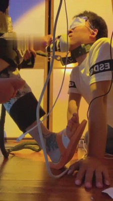 【不知名美女】强制贱狗闻臭脚臭鞋 bf12052