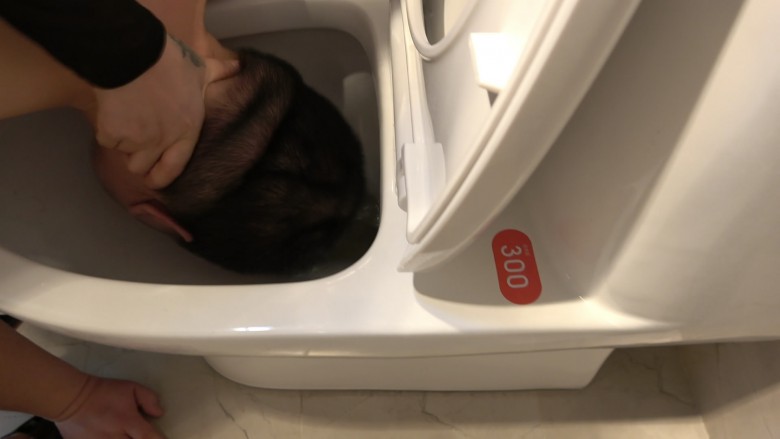 家奴暴虐记（下集）