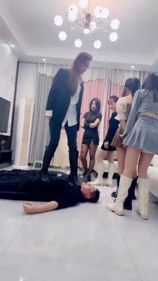 【麋鹿银儿】精彩群调-南北女王的较量【双视角版】 bf22761