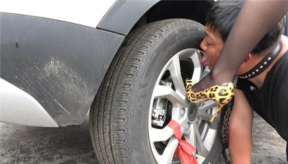 猪奴雨天的生日