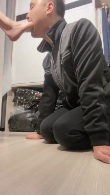 【阿月】摇骰子决定怎么虐狗 bf21414