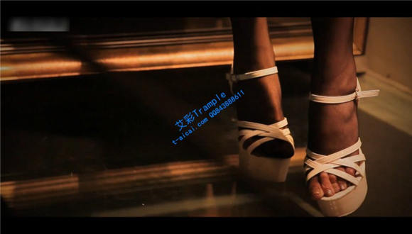 Renee 喵“丝”物语