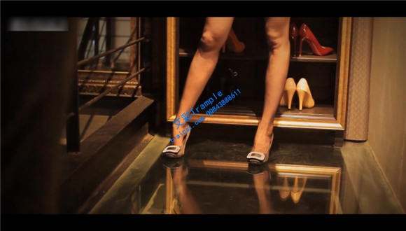 Renee 喵“丝”物语