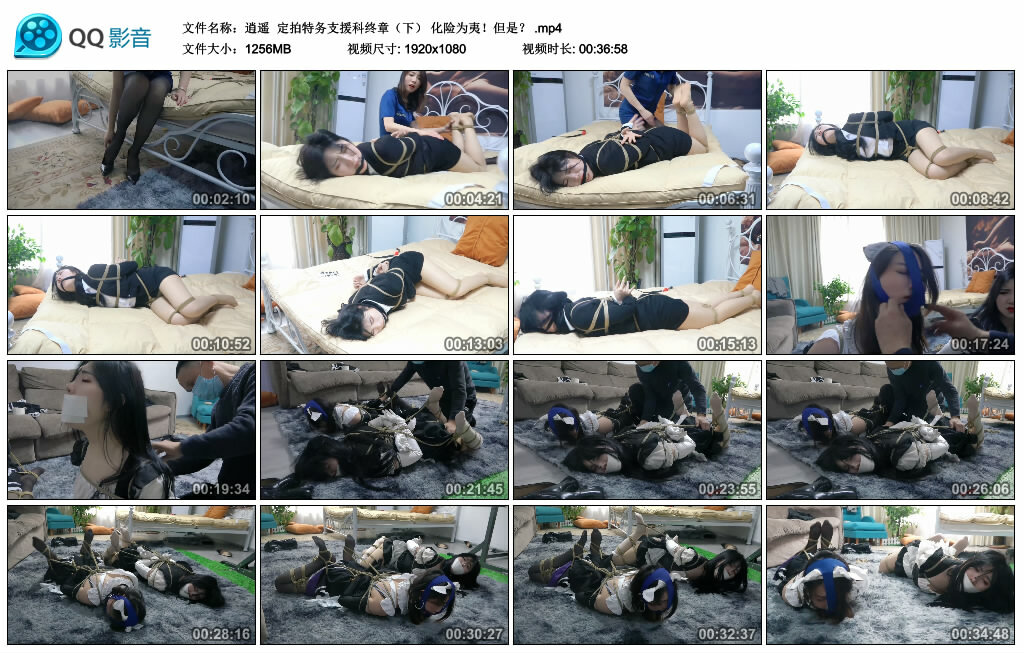 【逍遥】定拍特务支援科终章(下) 化险为夷!但是?_HD绳艺资源