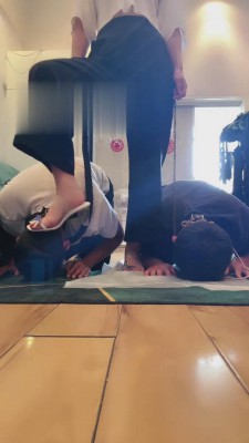 【思诺】双狗的应聘典礼 bf15613