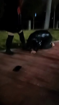 【雨雨大人】深夜路边遛狗 bf21916